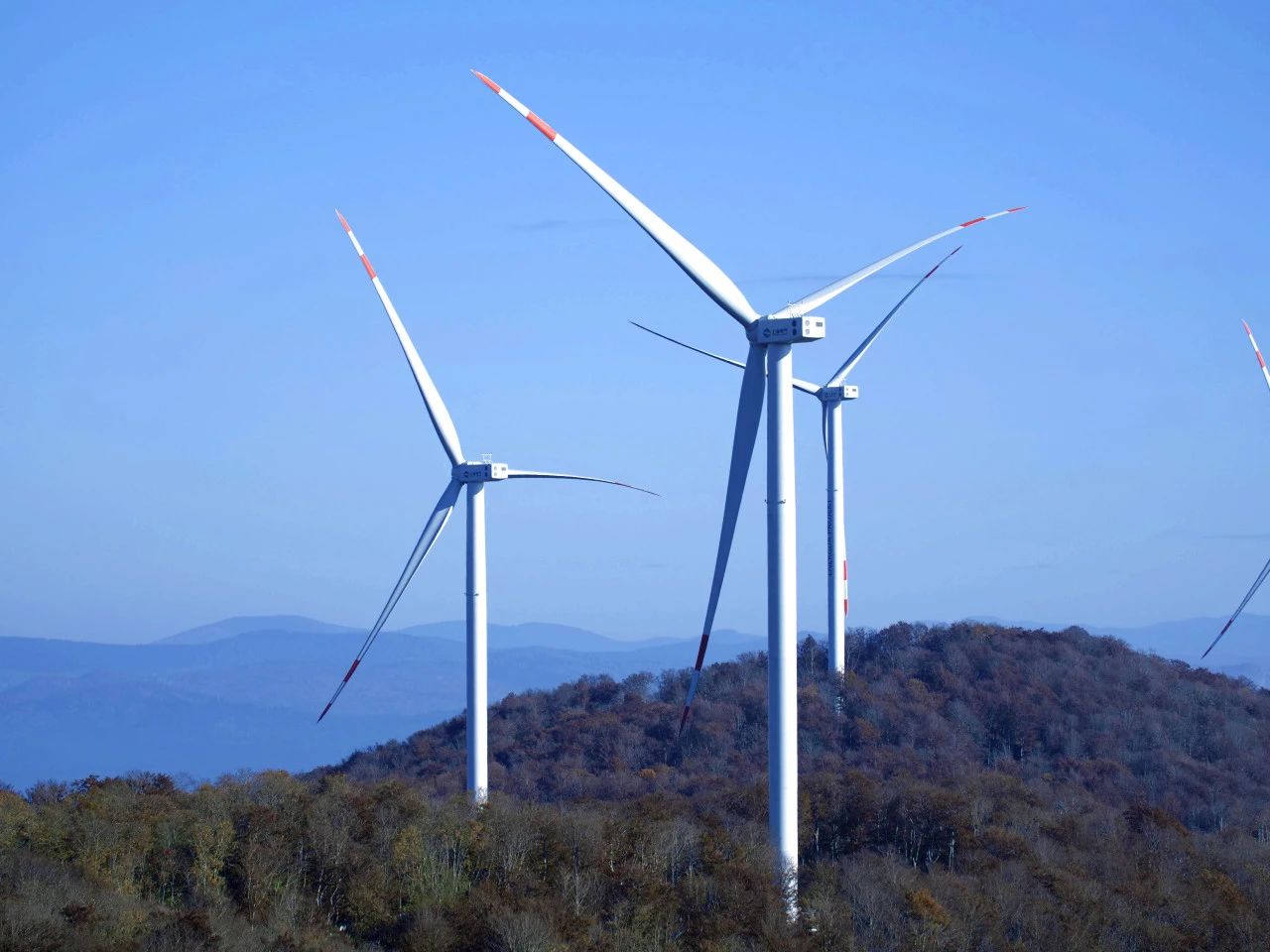 微信圖片_20240914101352.jpg 微信圖片_20240914101352.jpg